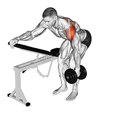 Dumbbell Bolo kelen Reverse Fly demonstration