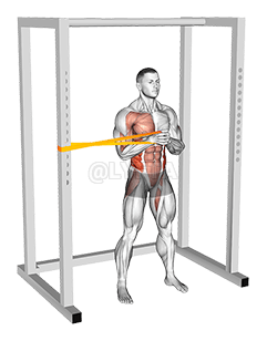 阻力带卧式帕洛夫压力机 demonstration