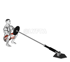 지뢰 프론트 스쿼트 demonstration