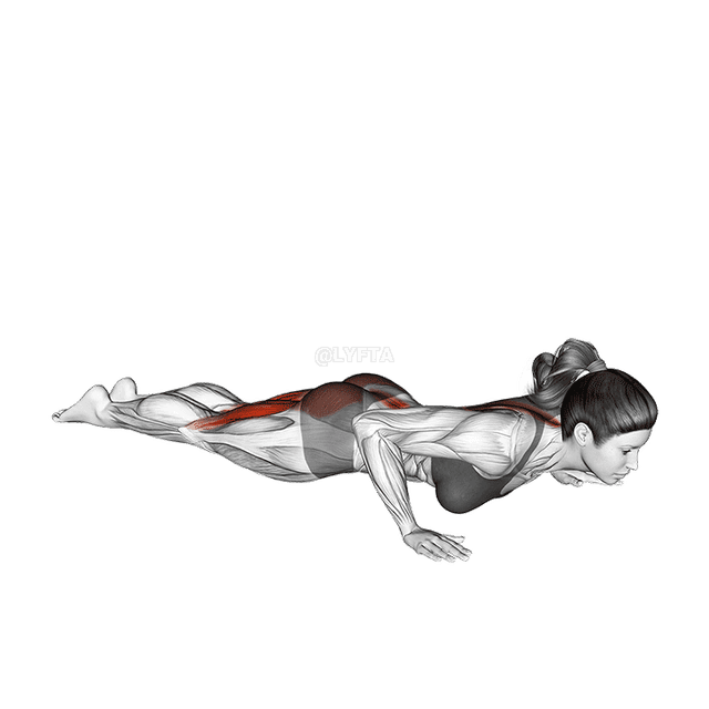 Cobra Yoga Pose demonstration