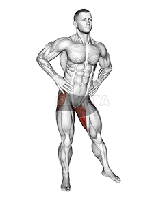 कूल्हे के घेरे खिंचाव demonstration