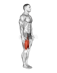 Elevación de rodilla demonstration