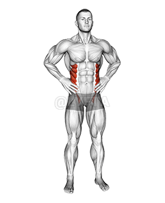 Okugolola Omugongo Wakati demonstration