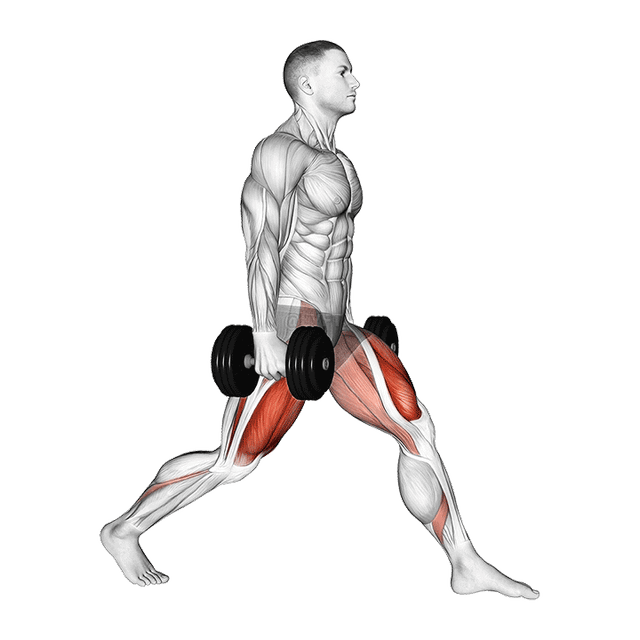 Dumbbell Static Lunge demonstration