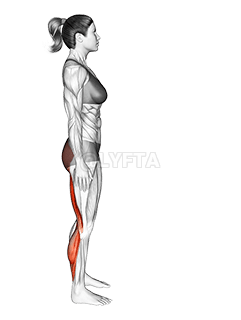 Estiramiento de corredores demonstration