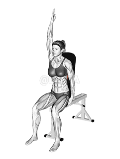 Alongamento lombar sentado demonstration