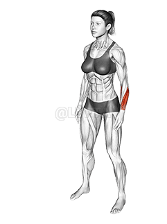 Peregangan Tarik Pergelangan Tangan Samping demonstration