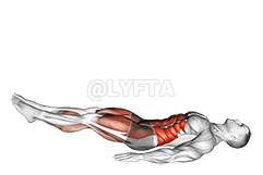 Estiramiento de una sola pierna recta demonstration