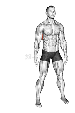 දිගට බෑවුම් demonstration