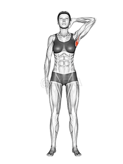 ස්ථාවර පාර්ශ්වීය දිගුව demonstration