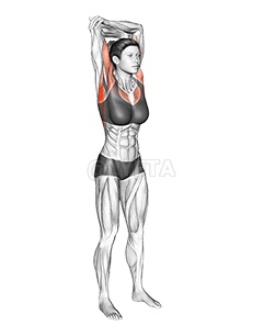 නැවතී භ්රමණය දිග හැරීම demonstration