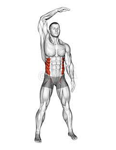 スタンディングサイドベンド demonstration