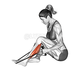 Peroneals Stretch demonstration