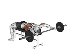 Thumbnail for the video of exercise: Шырокі пуловер са штангай