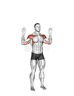 Pers Militer Berdiri Berat Badan demonstration