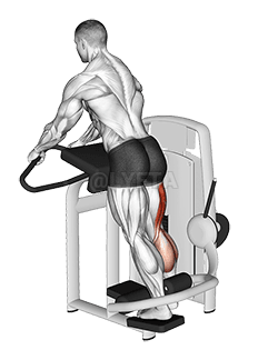 Lever Berdiri Kaki Curl demonstration