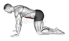 Trbušni 4 boda demonstration