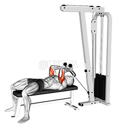 Kabelgebundene Trizepsverlängerung demonstration