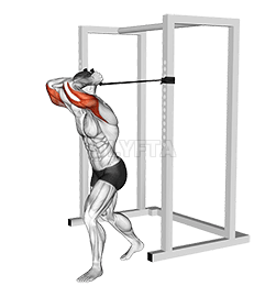 Extensão de tríceps com banda suspensa demonstration