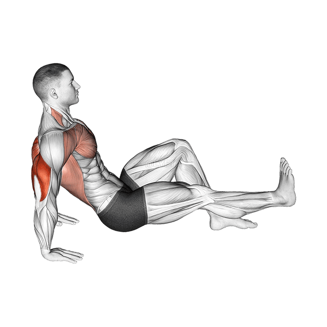 फर्श पर सिंगल लेग डिप demonstration