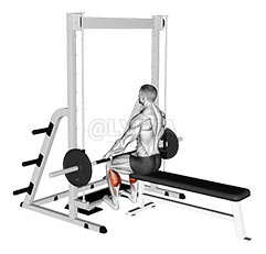 Élévation des mollets assis Smith demonstration