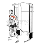 Thumbnail for the video of exercise: Cable Standing Alternate Low Fly