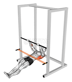 Thumbnail for the video of exercise: فرقة المقاومة الصف المقلوب