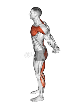 Pose Yoga Anjing Laut Berdiri demonstration