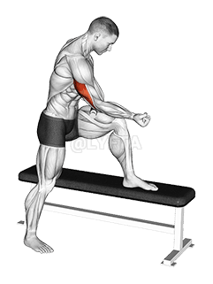 Tigerhale Triceps demonstration