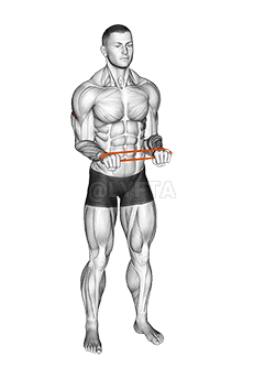 Pullapart Pita Perlawanan demonstration