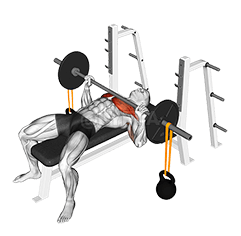 Barbell Bench Press with Band Suspended Kettlebell demonstration