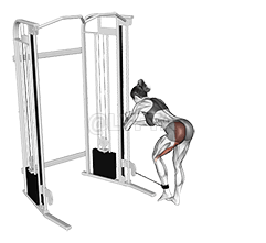 Contraccolpo dell'asino via cavo demonstration