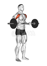 Thumbnail for the video of exercise: EZ-ਬਾਰ ਡਰੈਗ ਬਾਈਸੈਪ ਕਰਲ