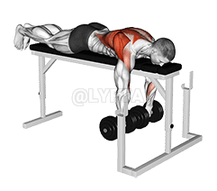 Thumbnail for the video of exercise: ਰੈਕ 'ਤੇ ਡੰਬਲ ਲਾਈਂਗ ਚੌੜੀ-ਪਕੜ ਵਾਲੀ ਕਤਾਰ