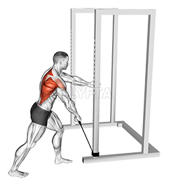 Banda De Pie Con Un Brazo Agarre Ancho Remo Bajo demonstration