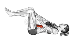 거짓말하는 Ab 프레스 demonstration