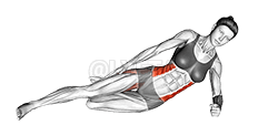 Thumbnail for the video of exercise: Side Bridge with Bent Leg
