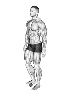 롤 볼 발 demonstration