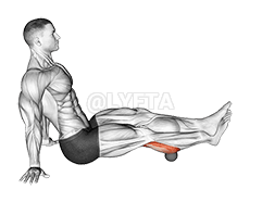 Thumbnail for the video of exercise: रोल बॉल वत्स