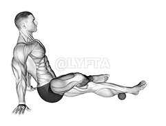 Roll Ball blauzdikaulio užpakalinis demonstration