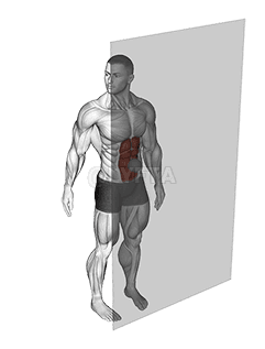 Roll Ball Rectus Abdominis demonstration