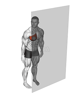 Roll Ball Pectoralis Major - Sternal demonstration