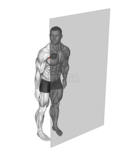 Roll Ball Pectoralis Major - Clavicular demonstration