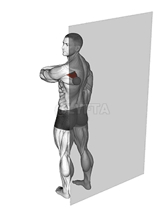 Thumbnail for the video of exercise: Rolbal Infraspinatus