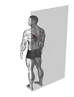 Rollball Trapezius senken demonstration