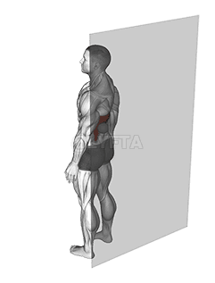 Rollball Latissimus Dorsi demonstration