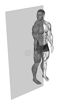 Roll Ball dilbio lankstikliai demonstration