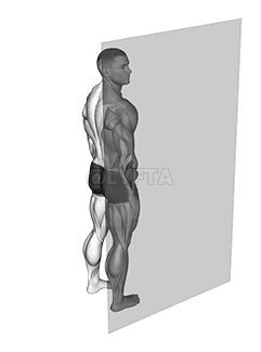 Roll Ball dilbio supinatorius demonstration