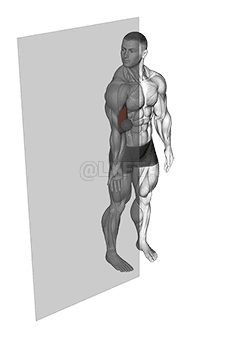 Gulung Bola Bicep Brachii demonstration