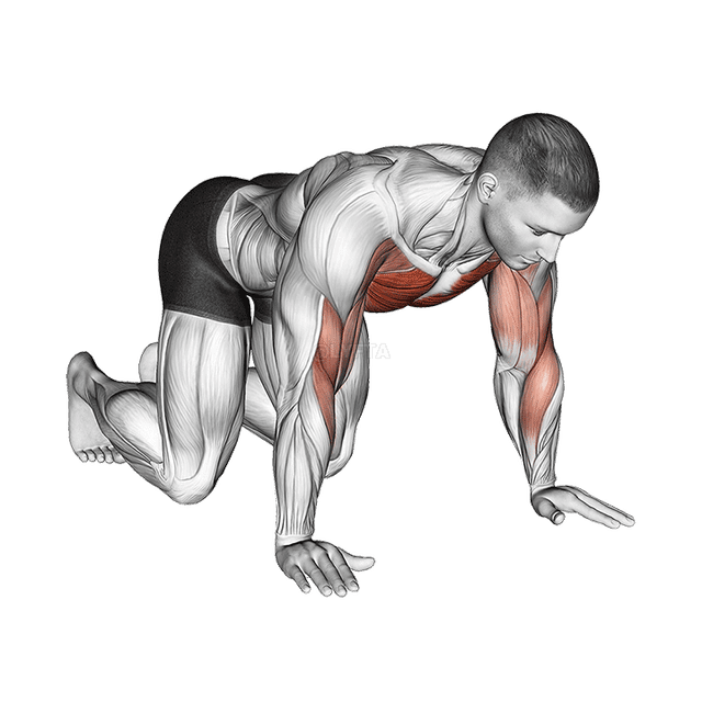 Polvistuva olkanapautus demonstration